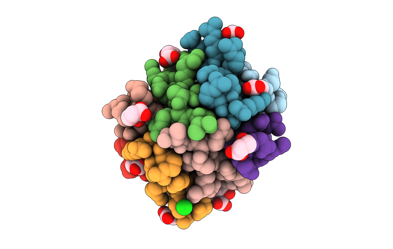 1L4X image