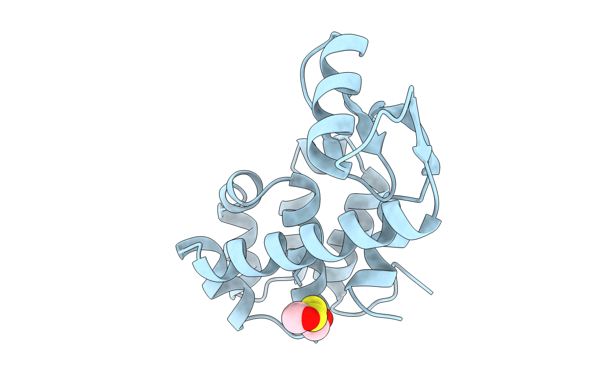 1L55 image