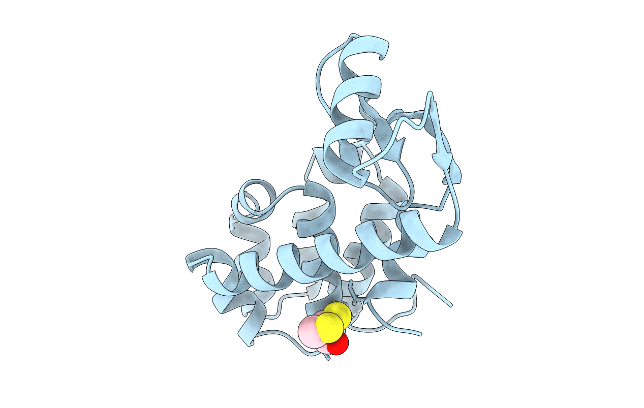 1L57 image
