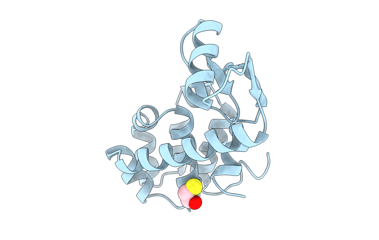1L58 image