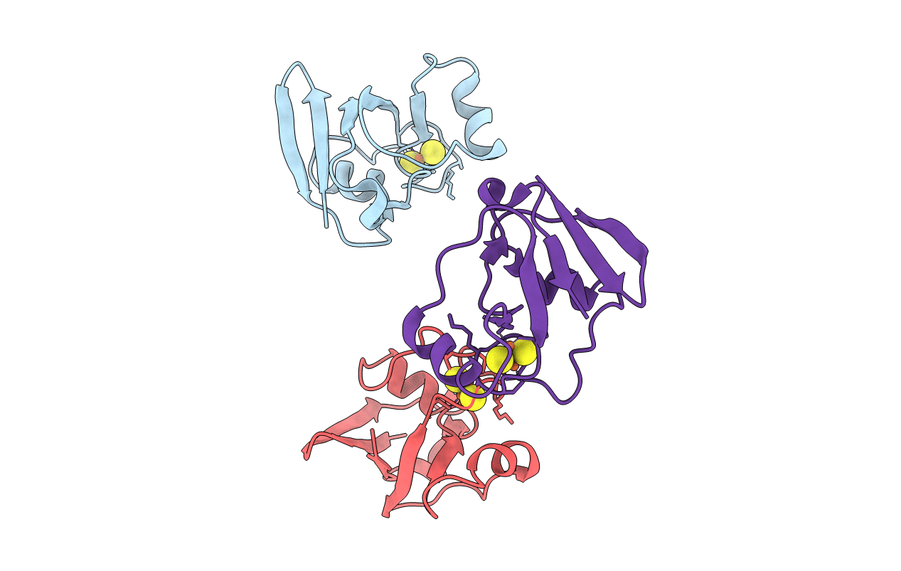 1L5P image