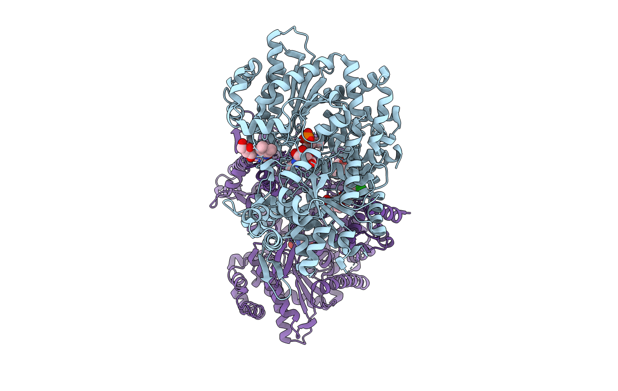 1L5R image