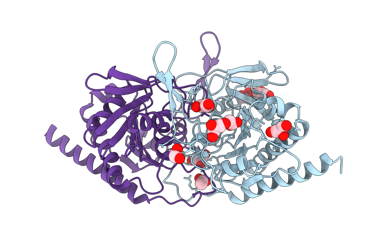 1L5X image