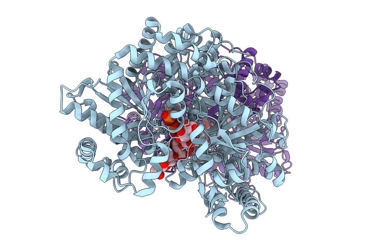 1L6I image