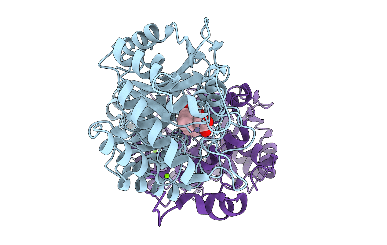 1L6S image