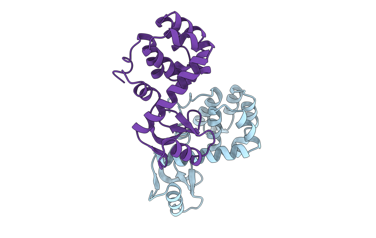 1L97 image
