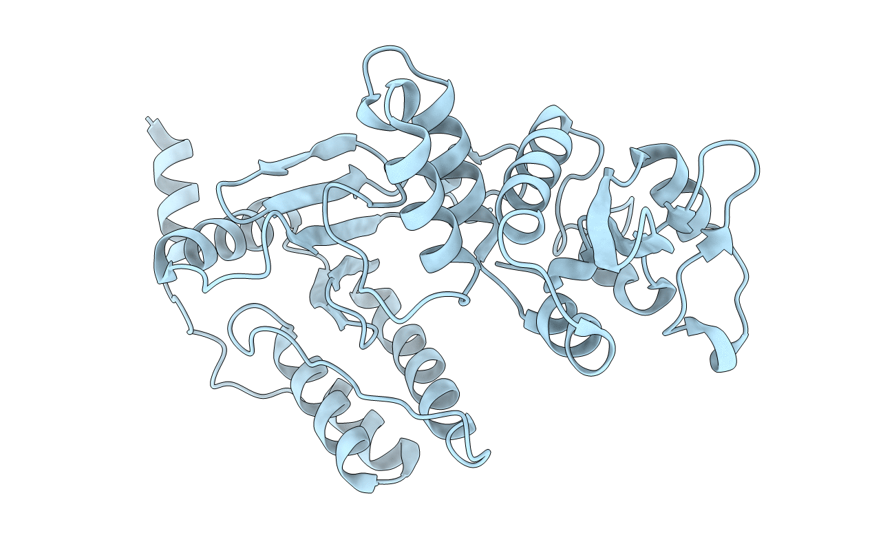 1L9V image
