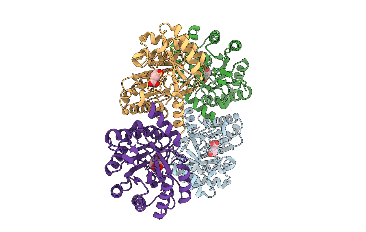 1L9W image