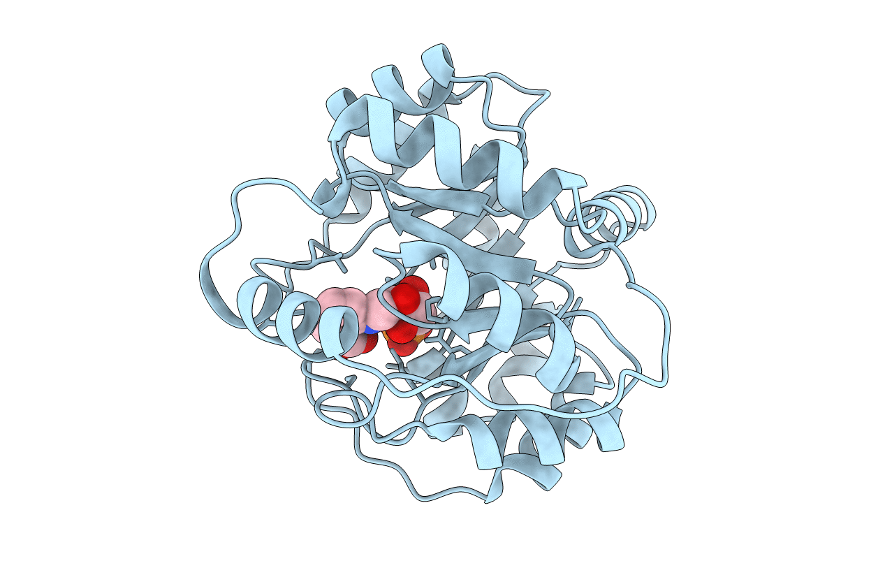 1LBF image