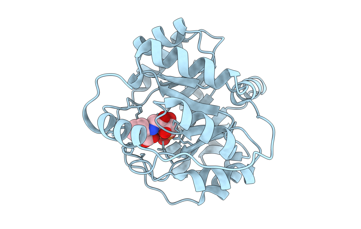 1LBL image