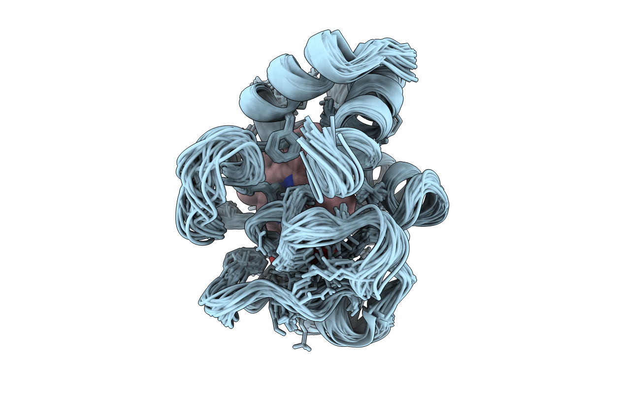 1LC2 image