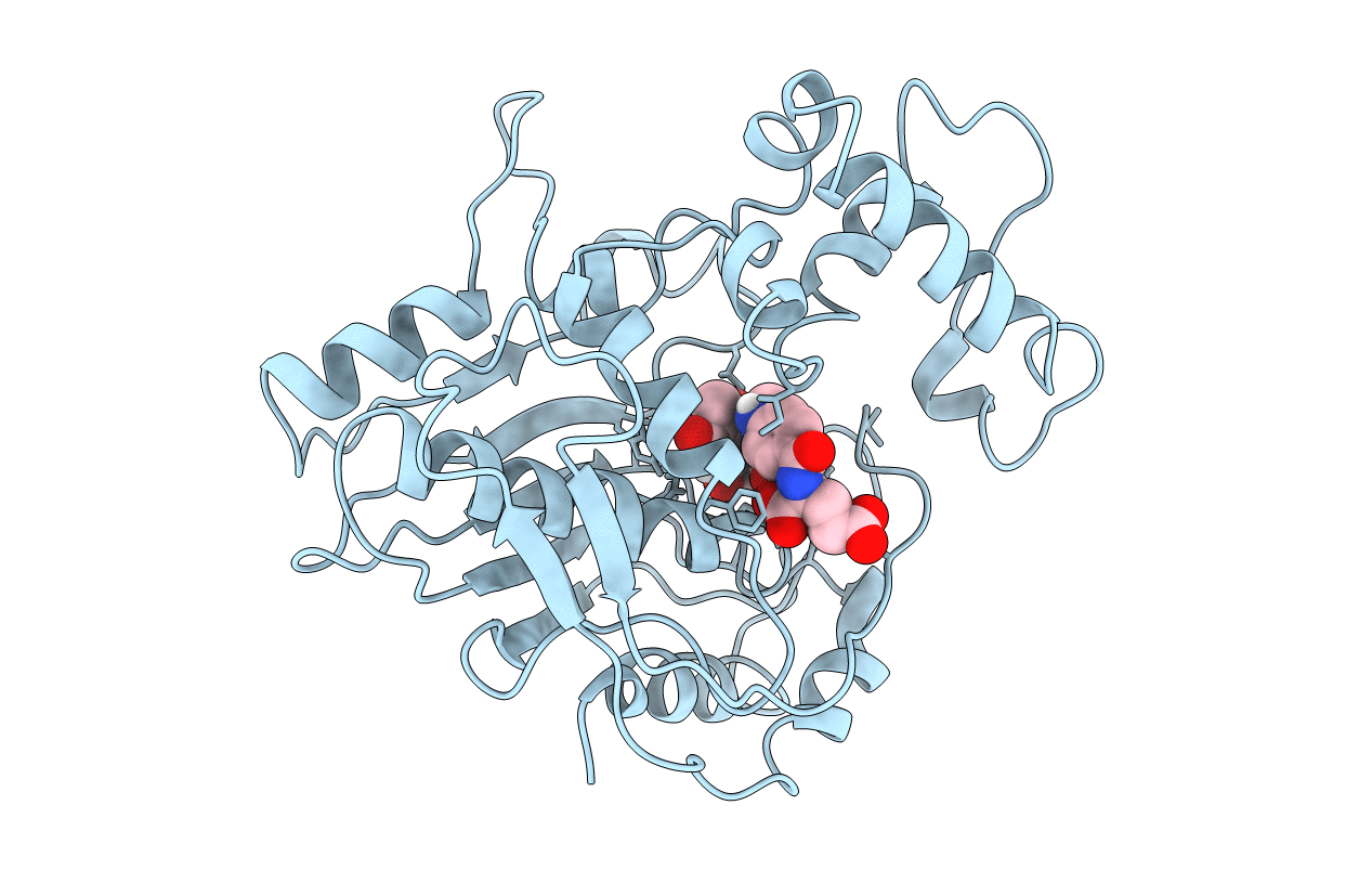 1LCB image