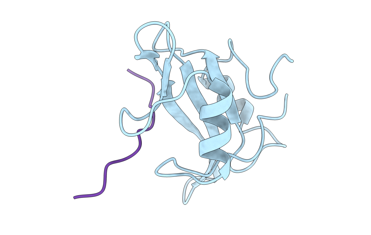 1LCJ image