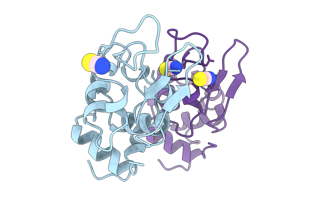 1LCN image