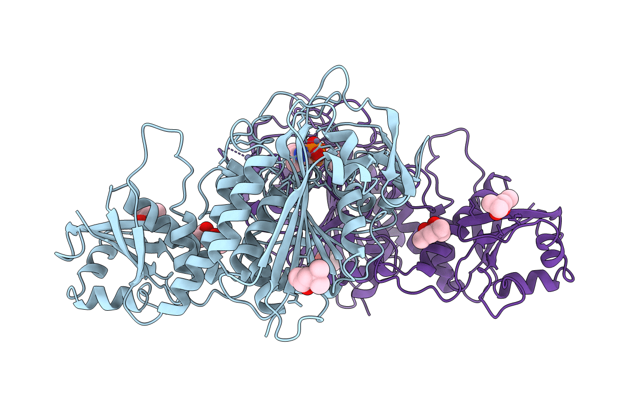 1LCP image