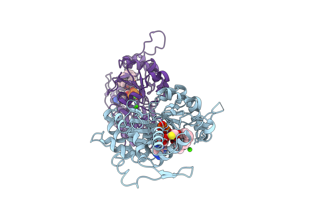 1LCU image