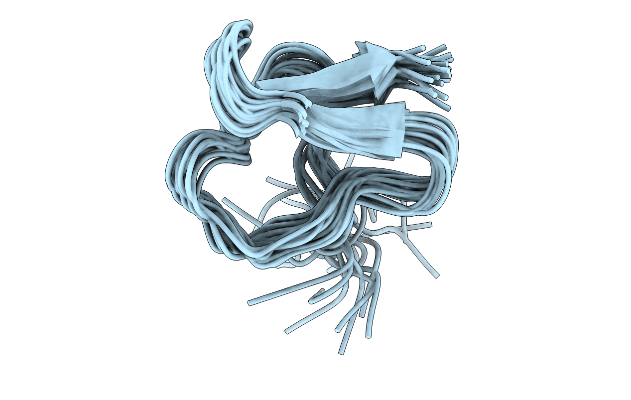 1LMR image