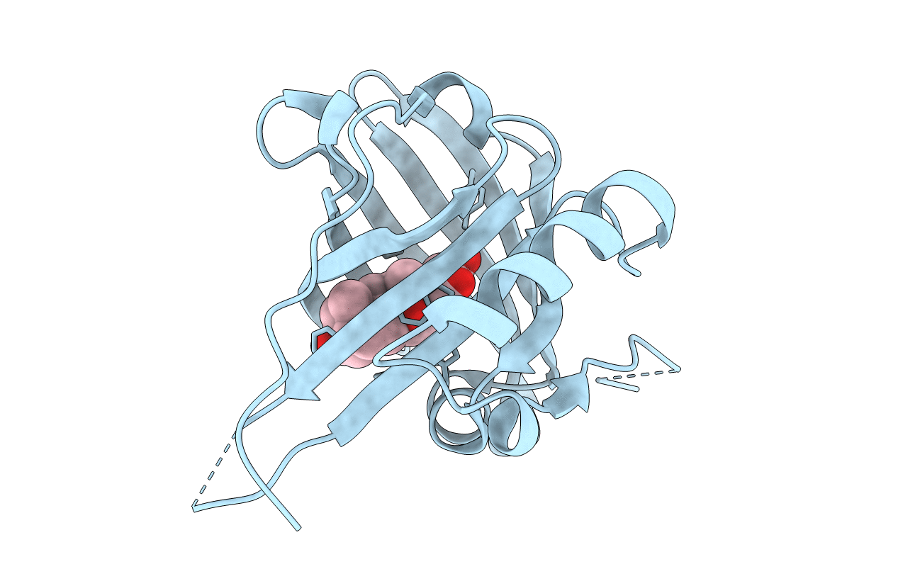 1LNM image