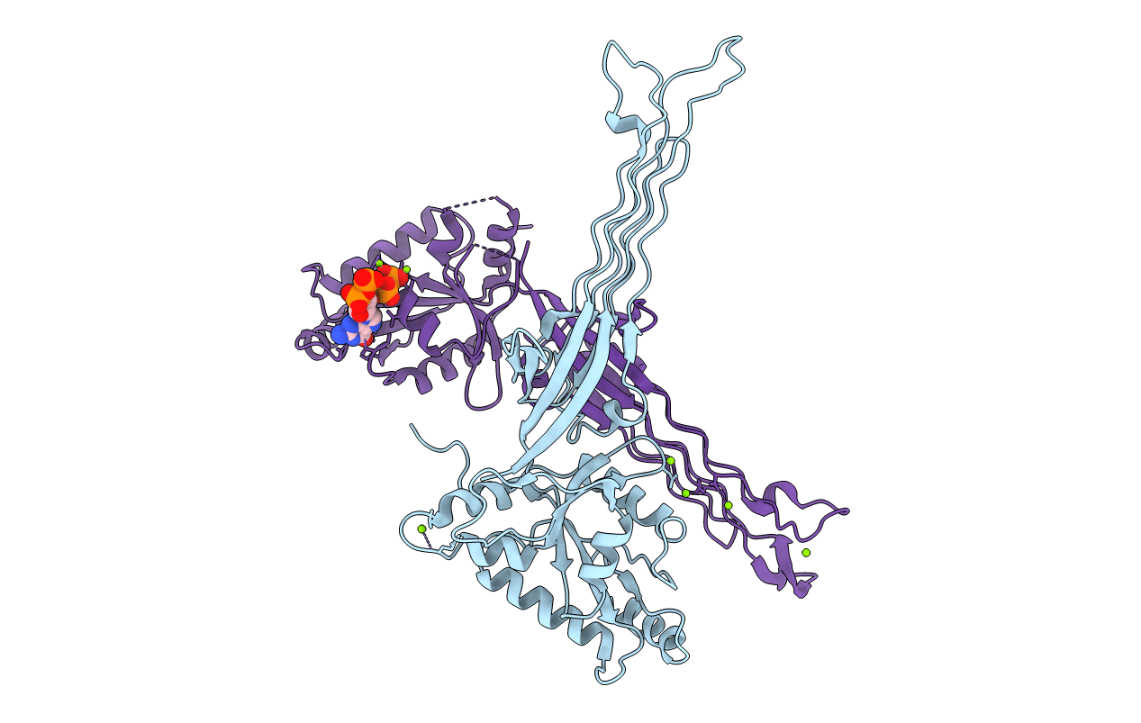 1LNZ image