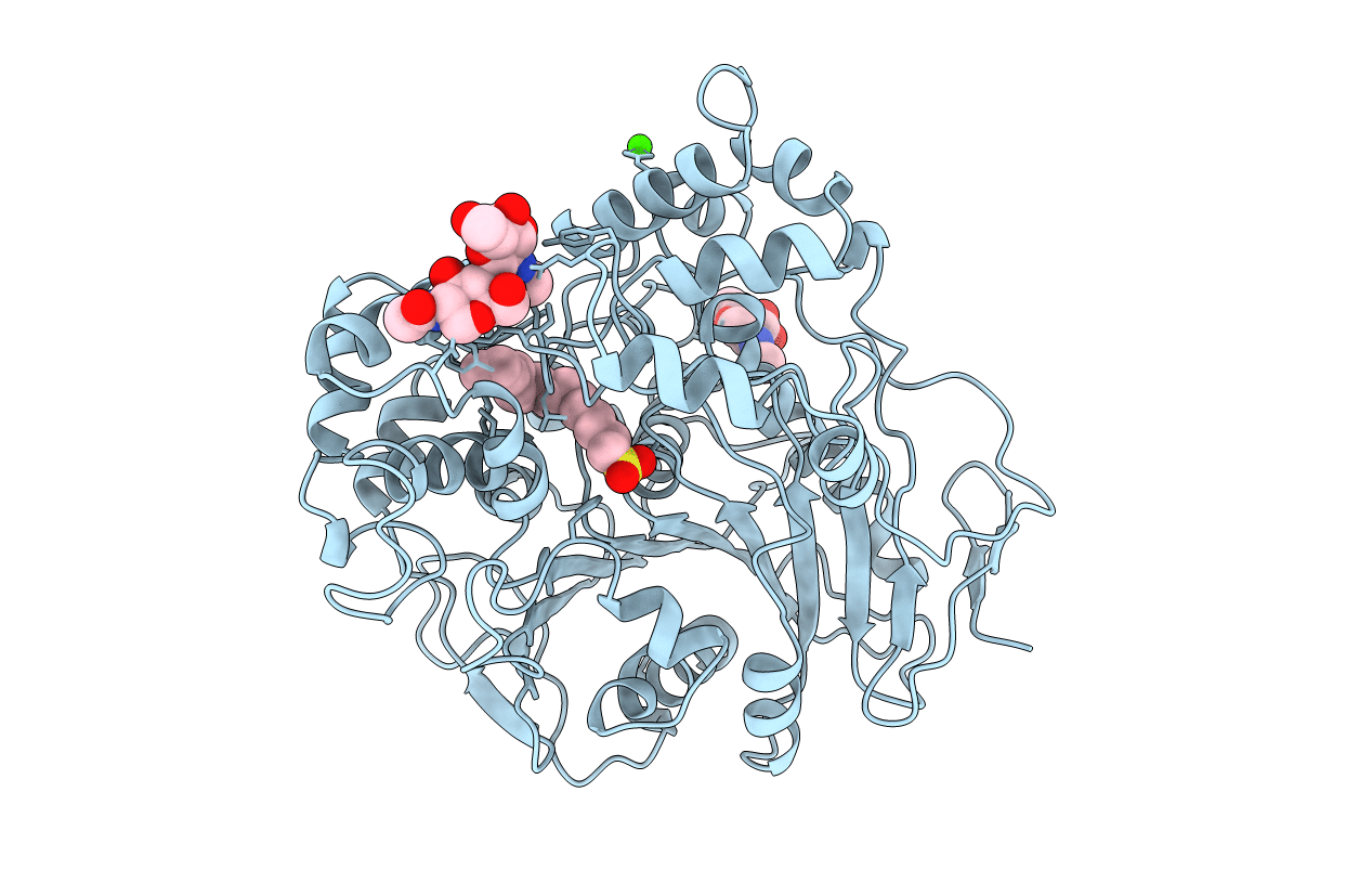 1LPO image