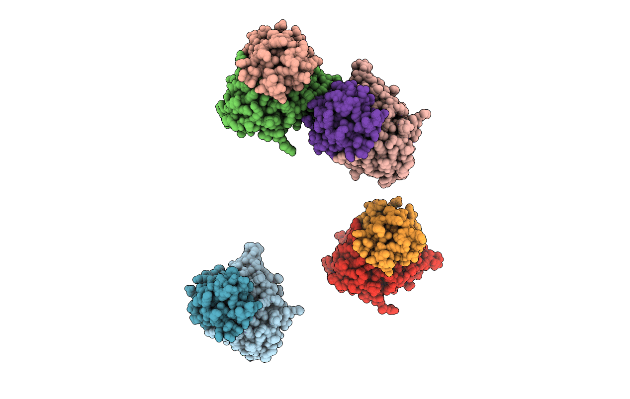 1LQM image
