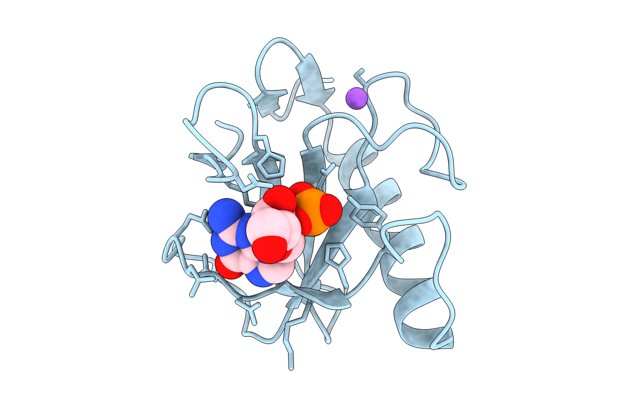 1LRA image