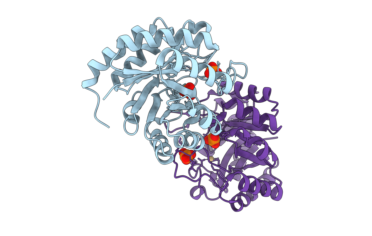 1LRN image