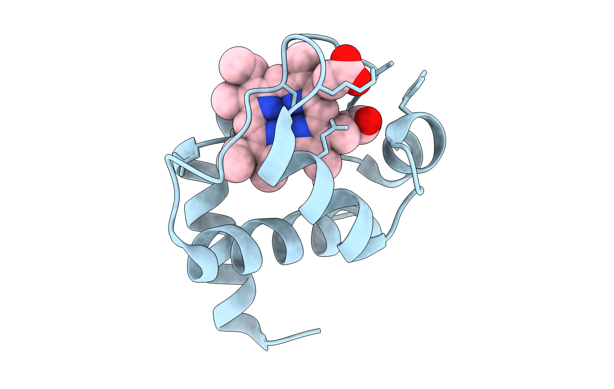 1LS9 image