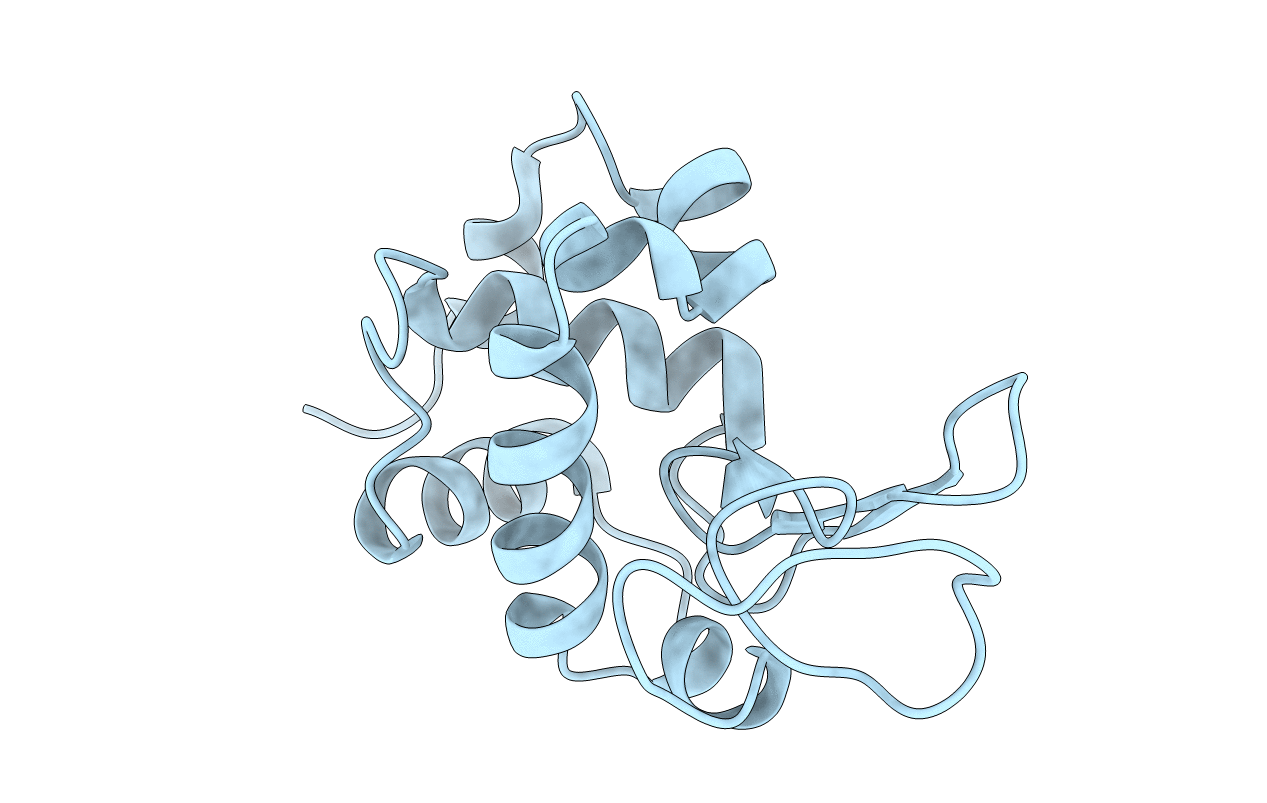 1LSA image
