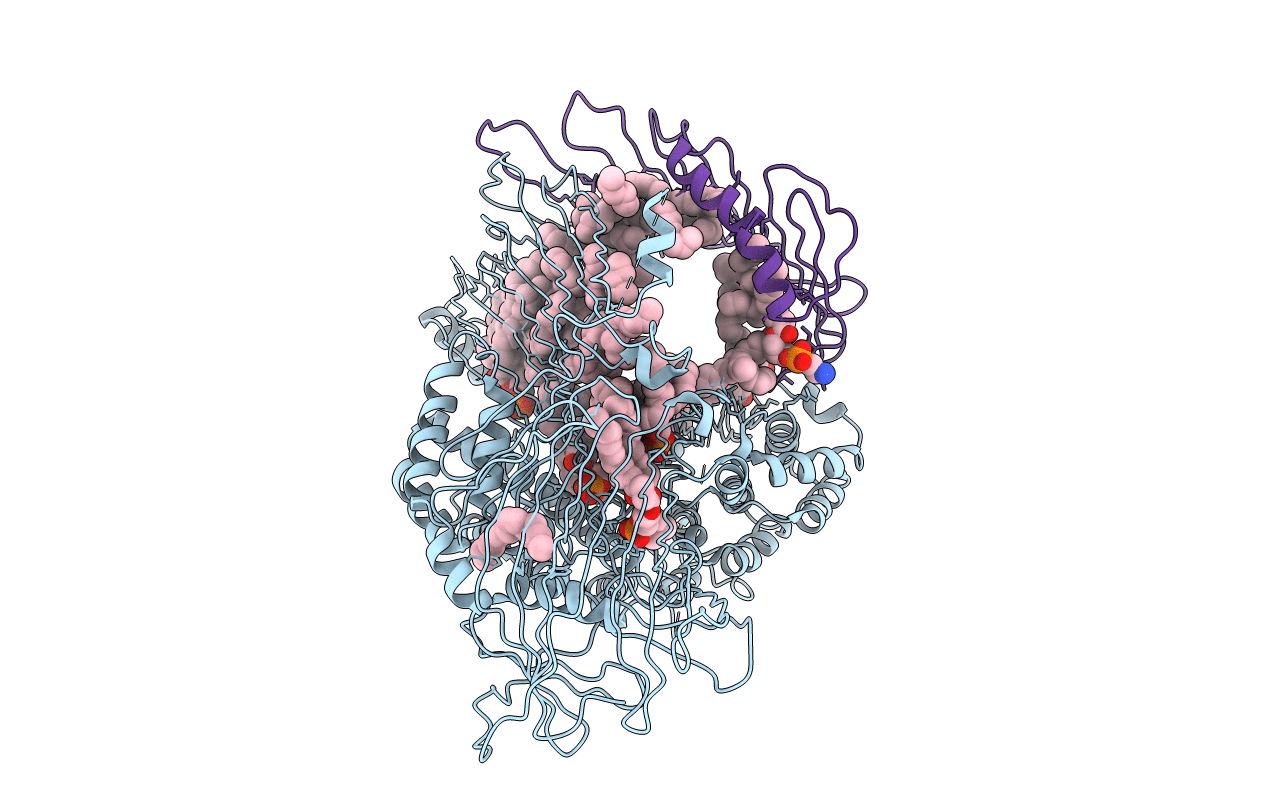 1LSH image