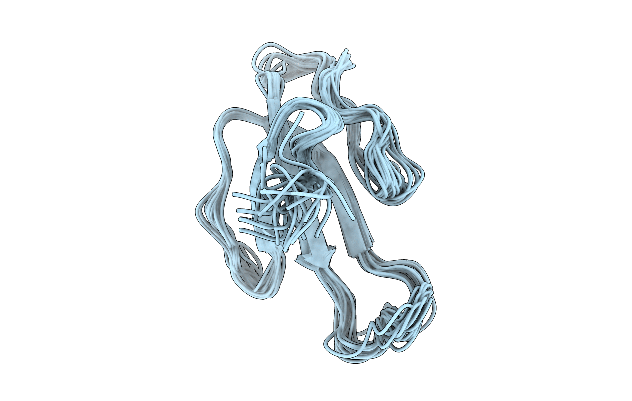 1LSI image