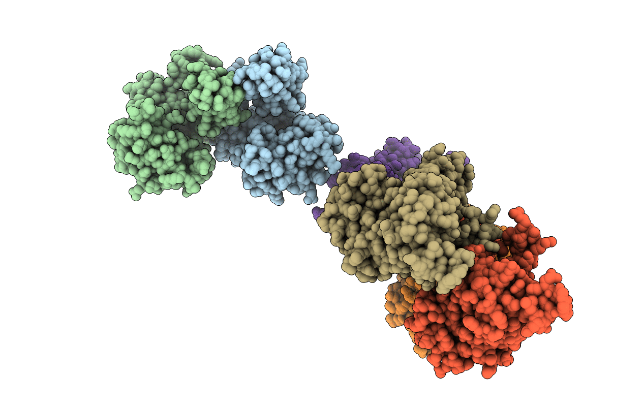 1LTL image