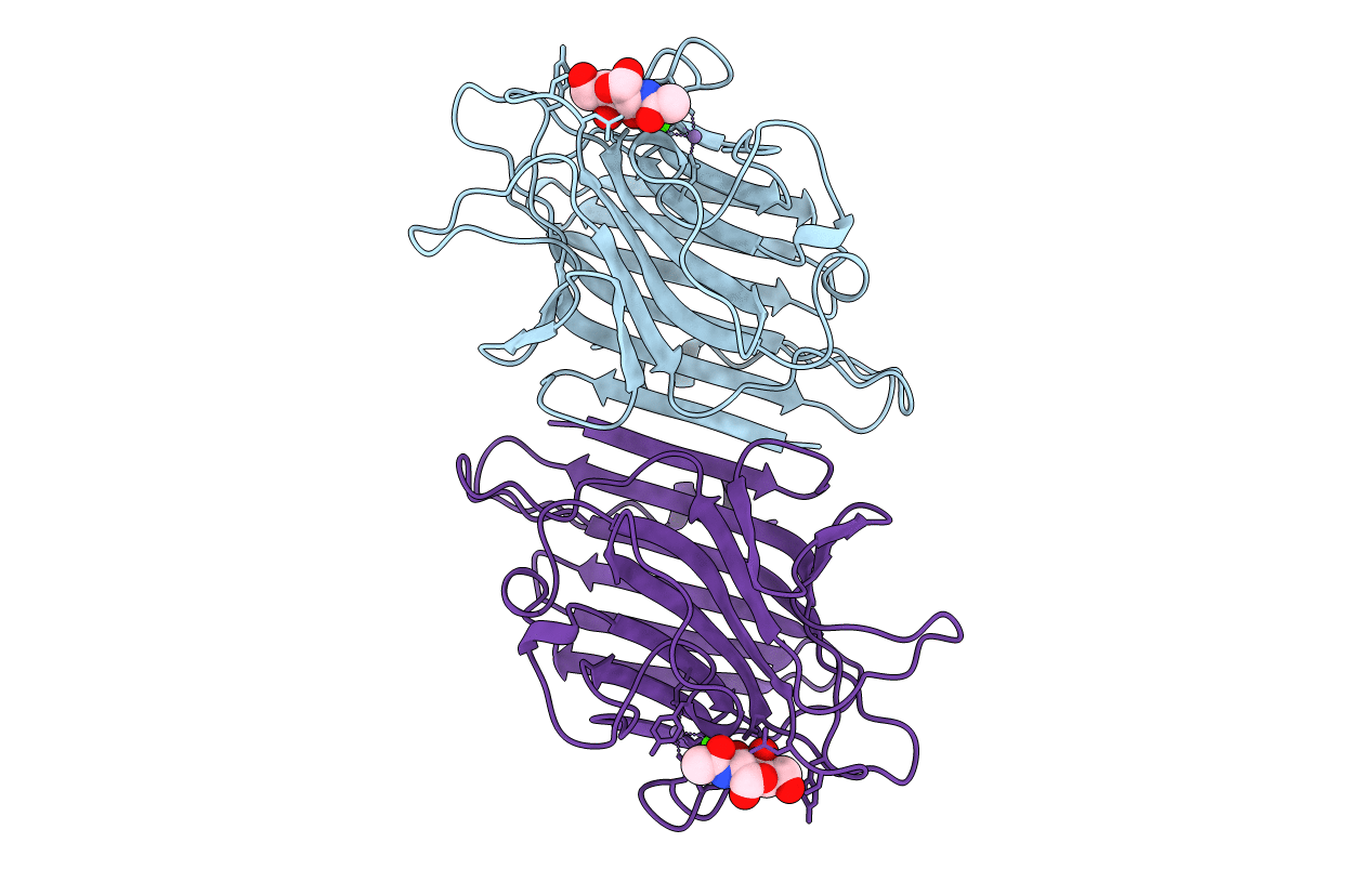 1LU2 image
