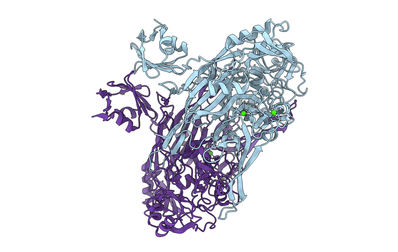 1LVN image