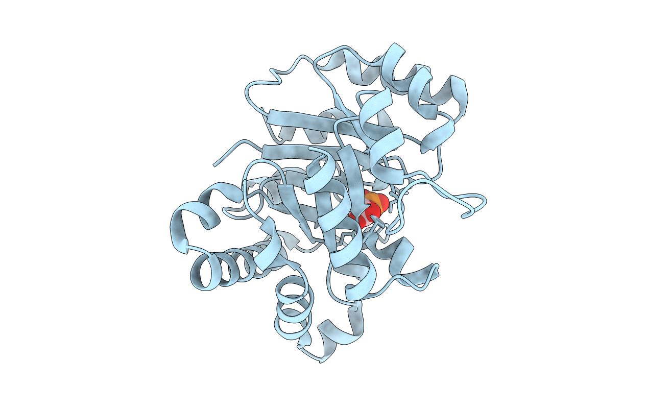 1LYX image