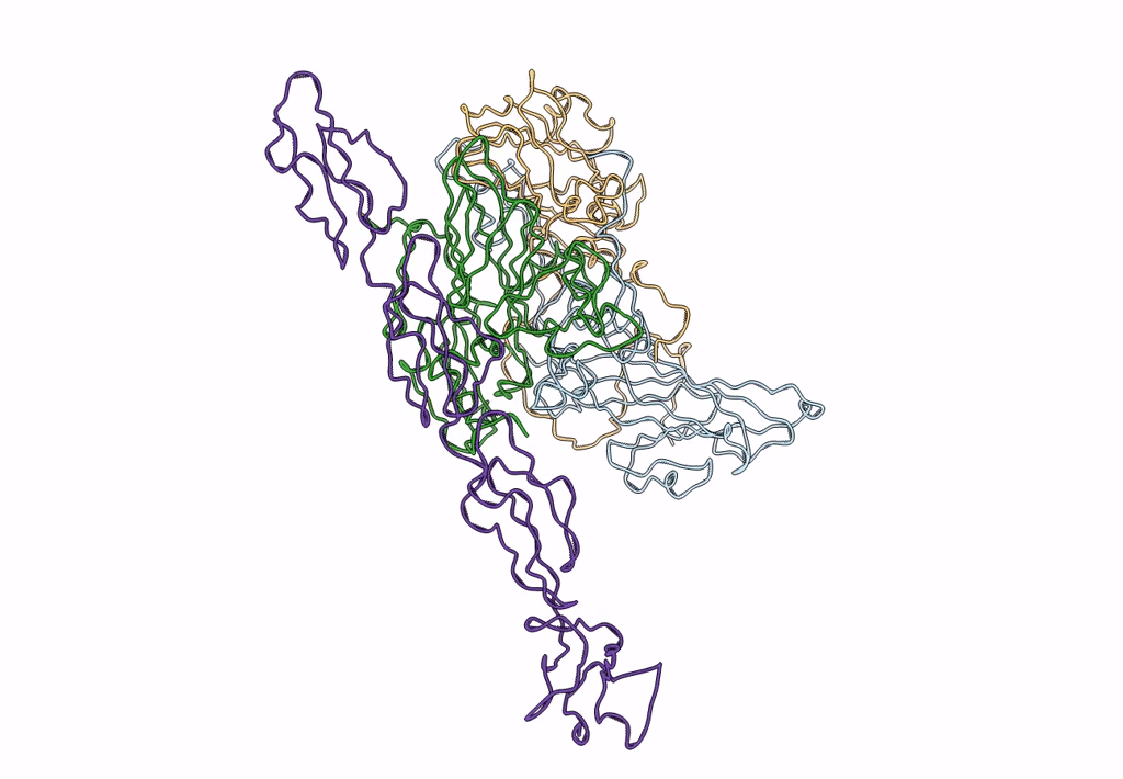1M11 image