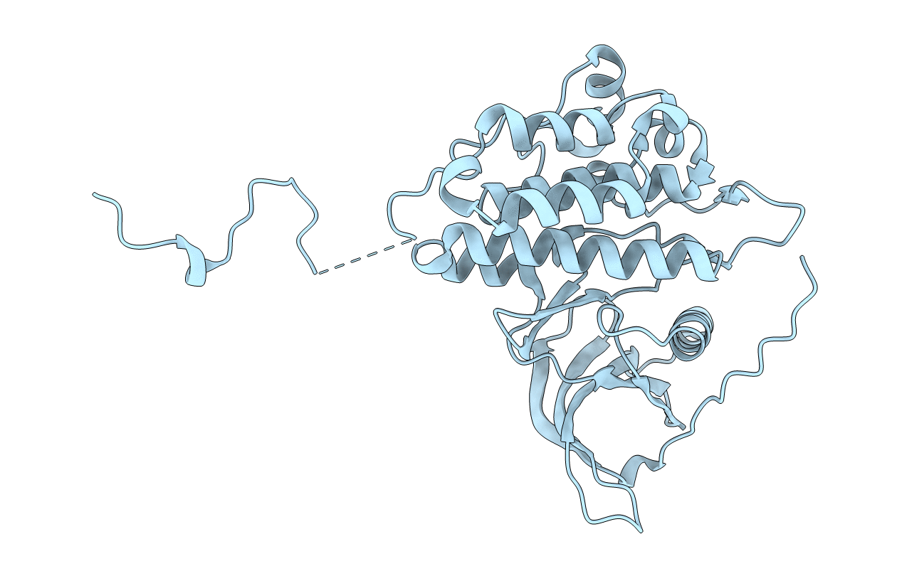 1M14 image