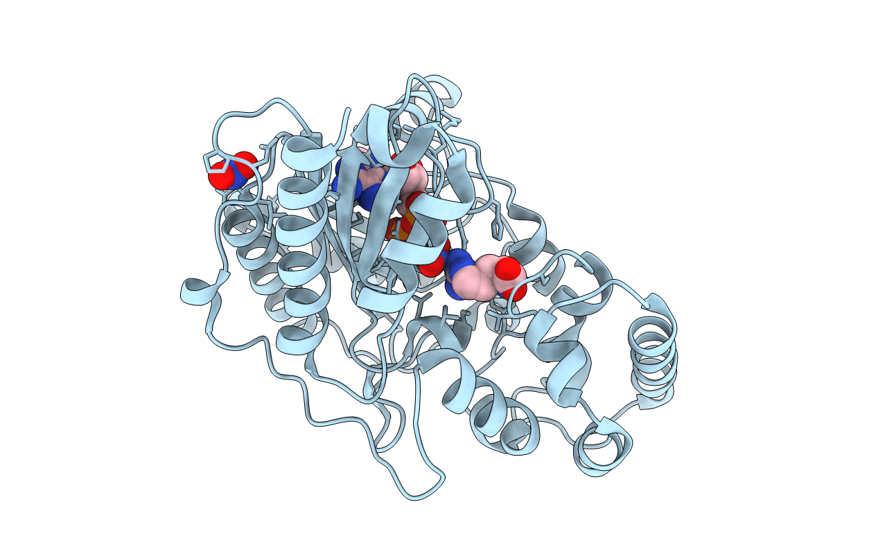 1M15 image