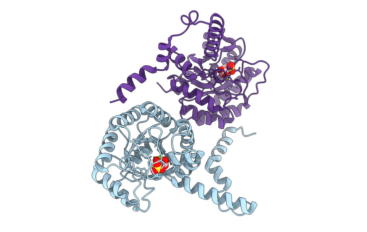 1M1B image
