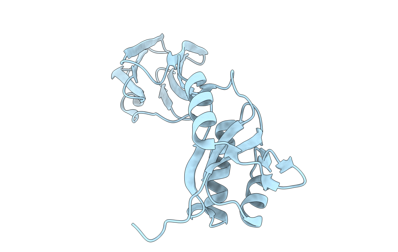 1M1H image