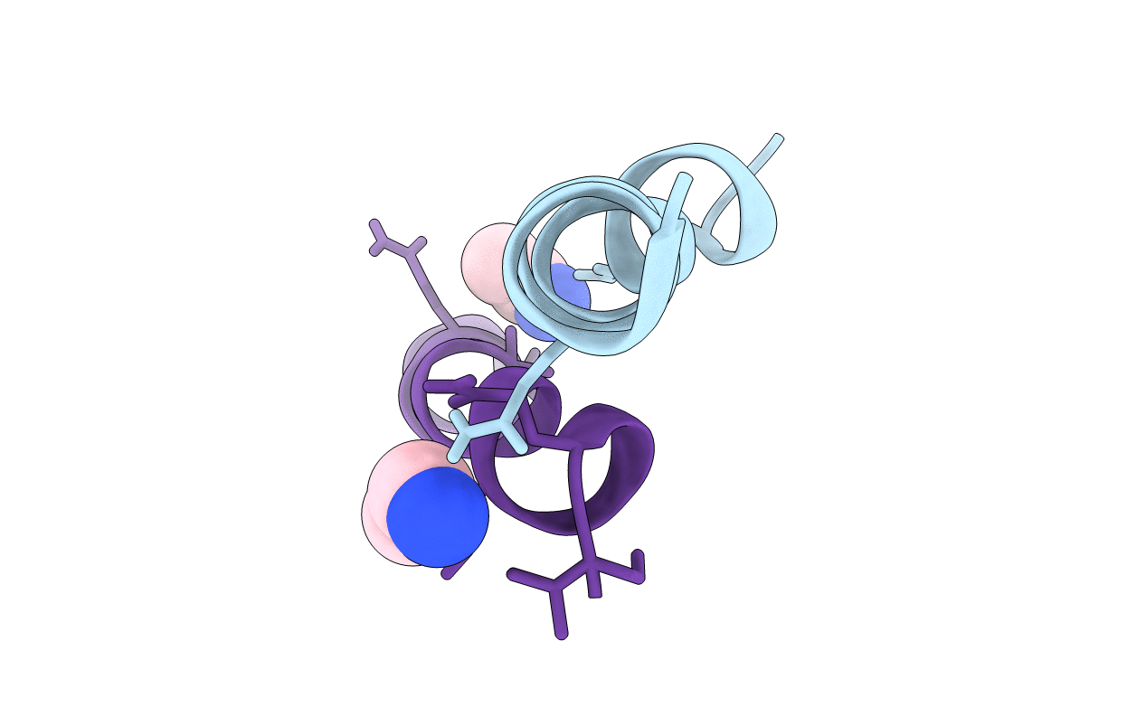 1M24 image