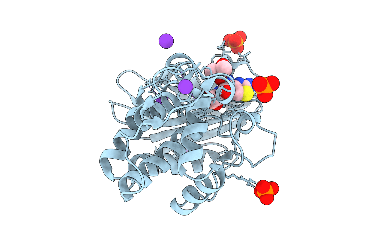 1M40 image