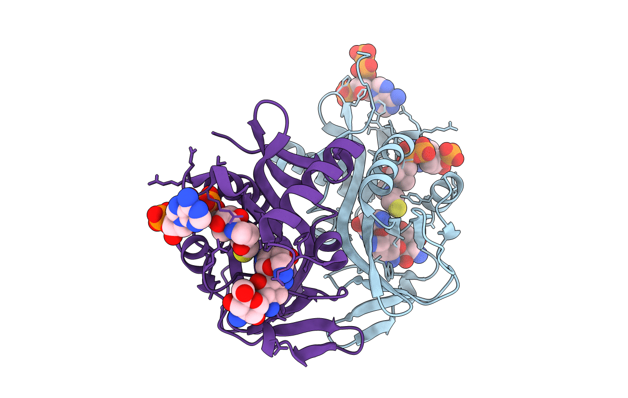 1M4D image