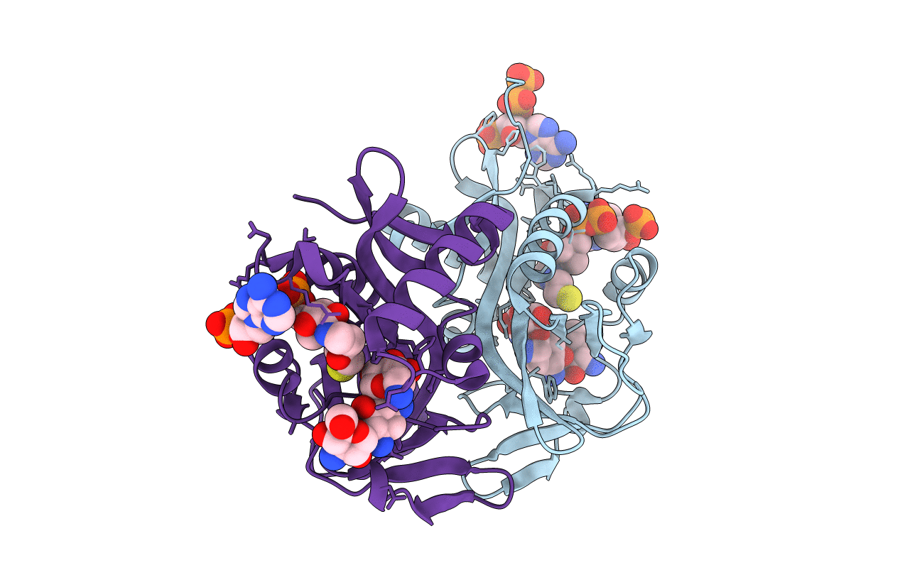 1M4I image