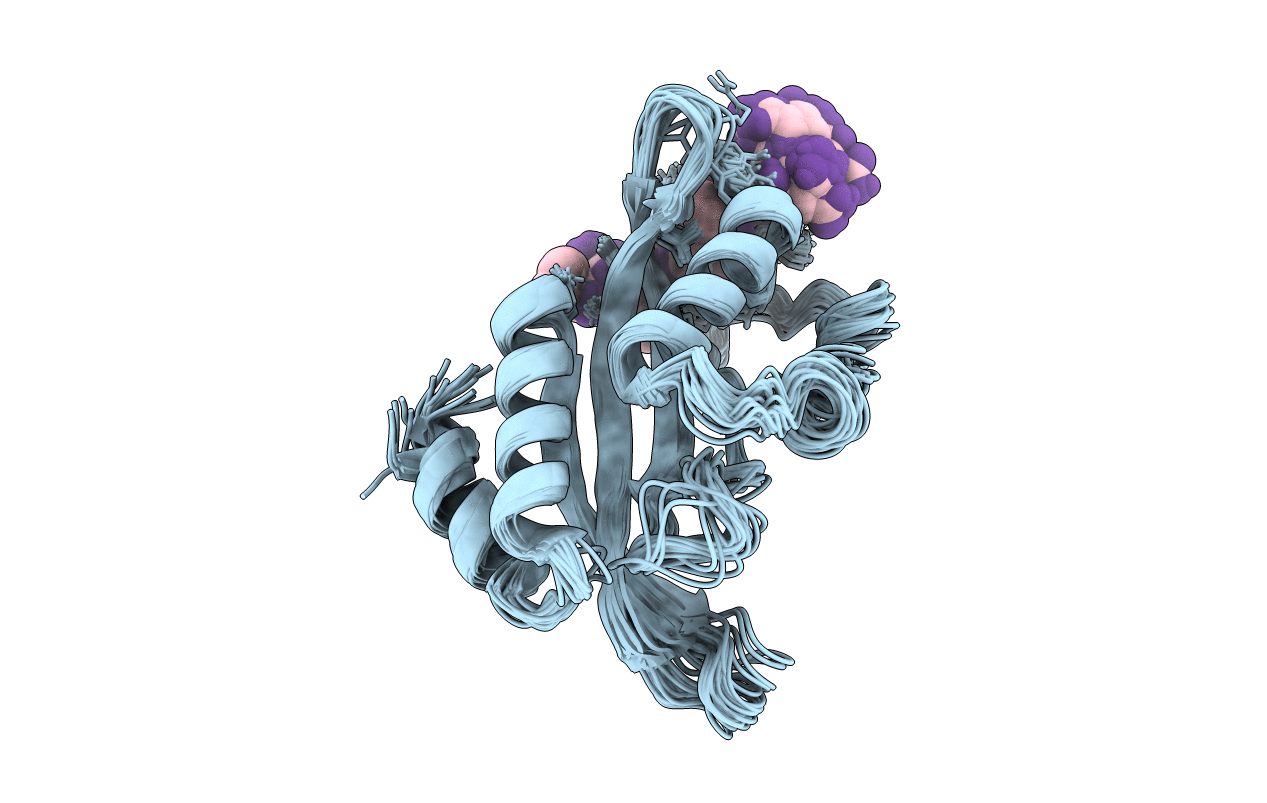 1M4P image