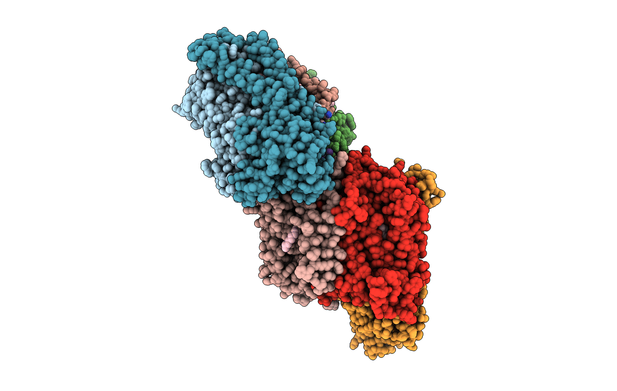 1M57 image
