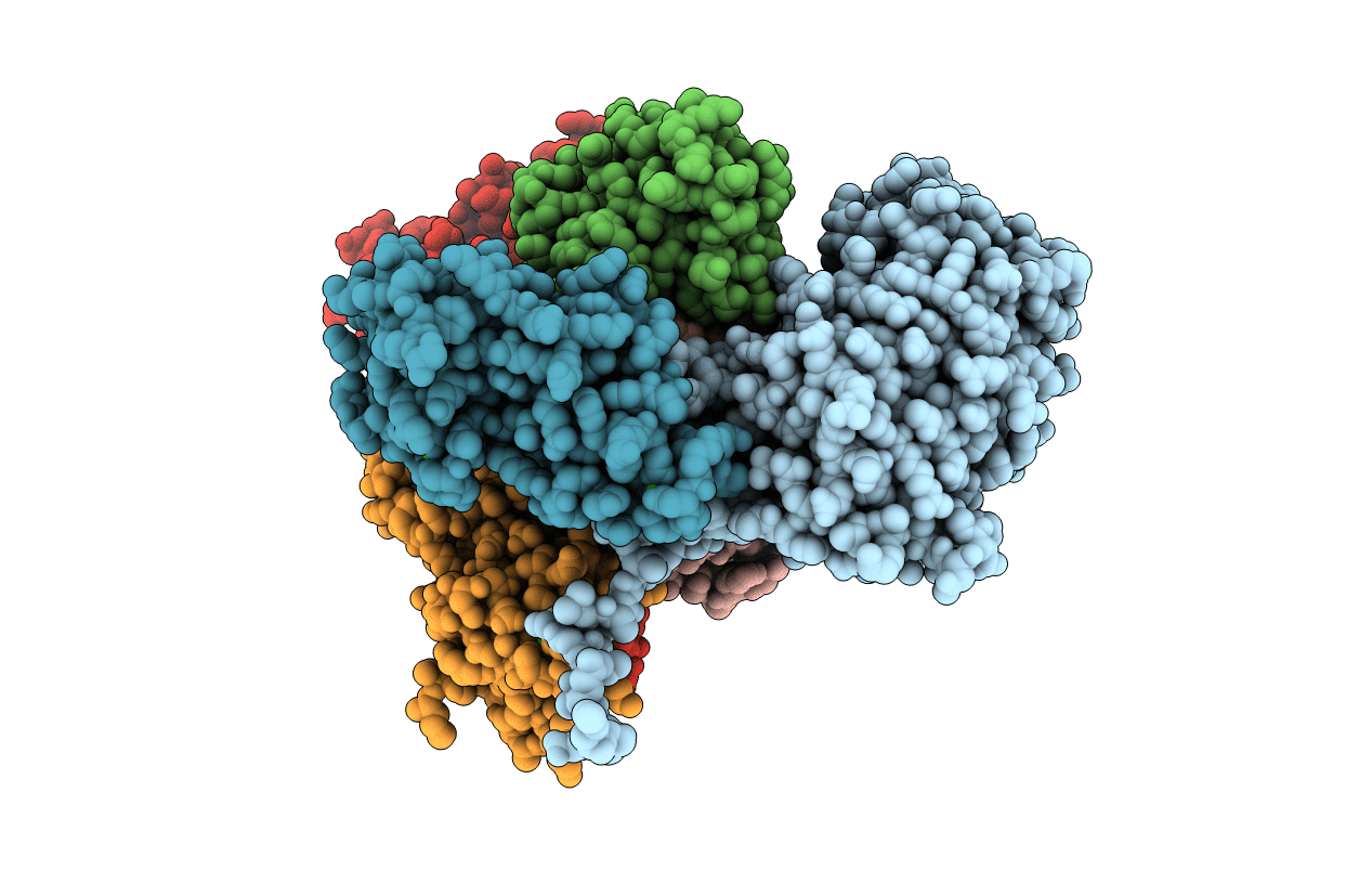 1M63 image