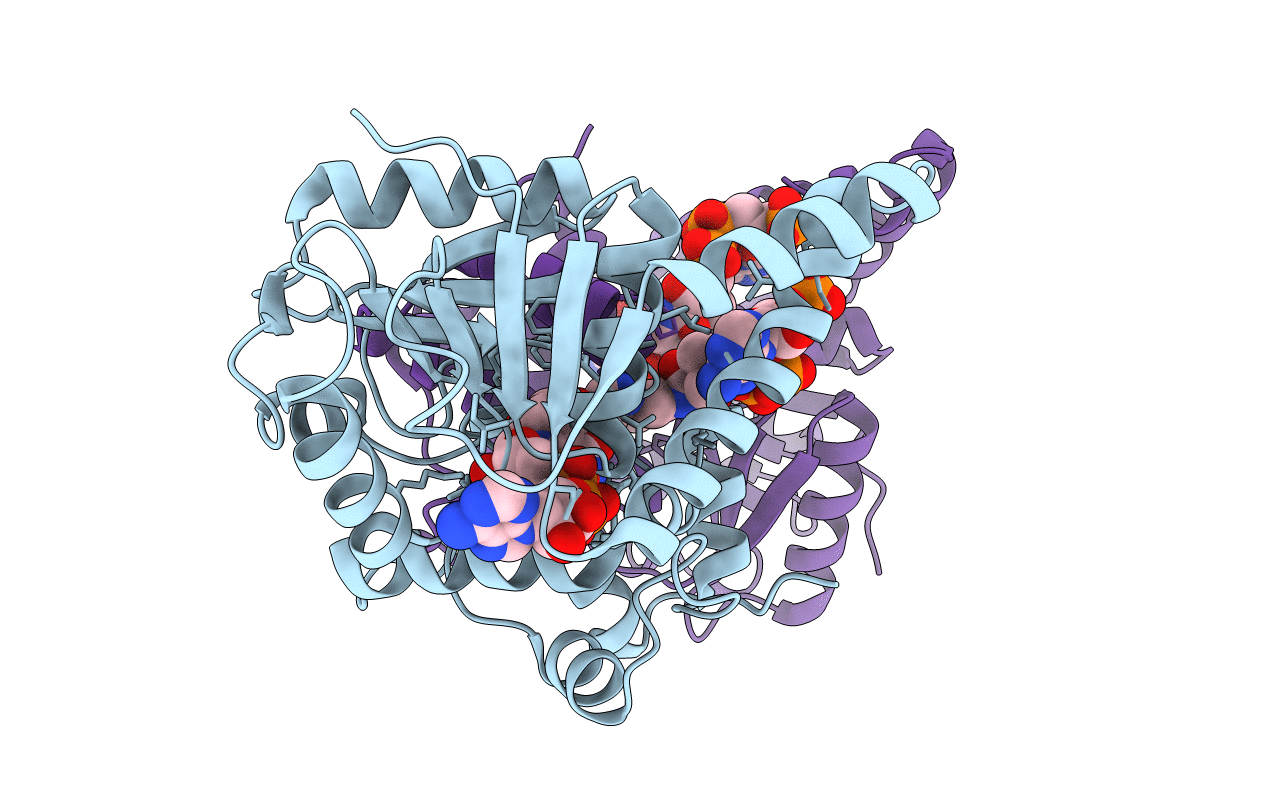 1M75 image