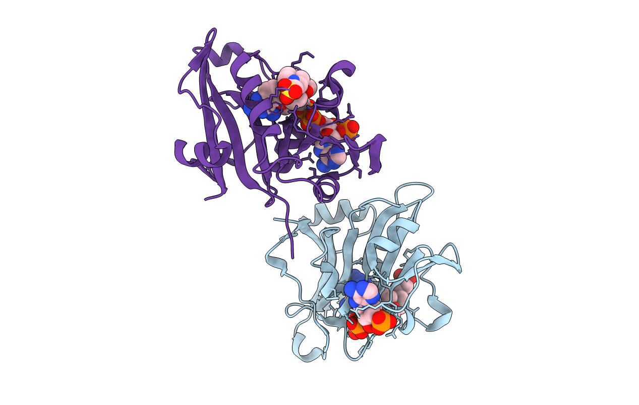1M79 image