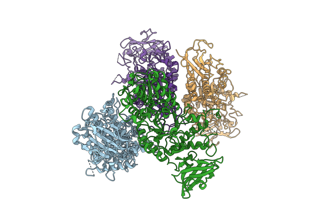 1M7X image